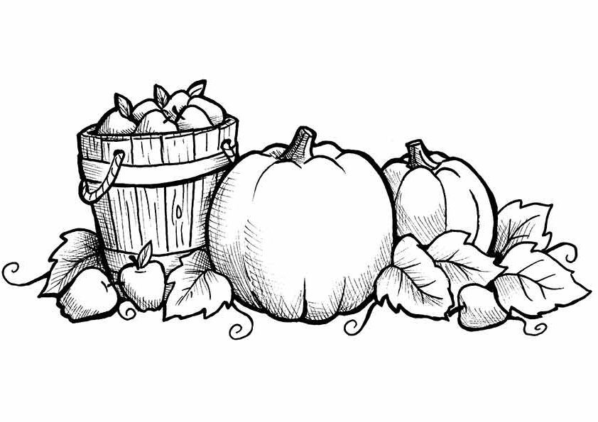 pumpkins and apples coloring page. 